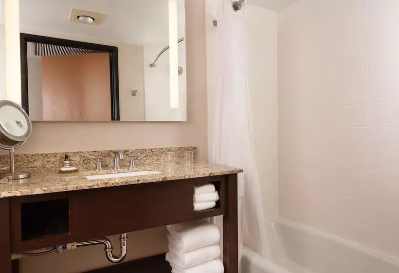 スイート, Hyatt Regency Green Bay