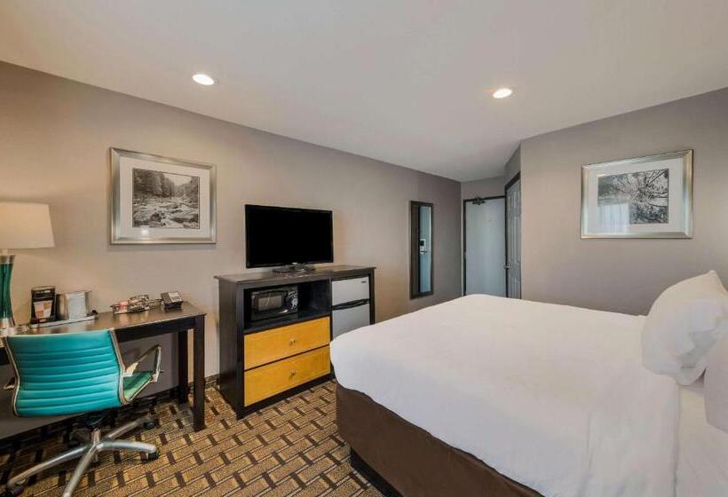 标准间, Quality Inn  Denton