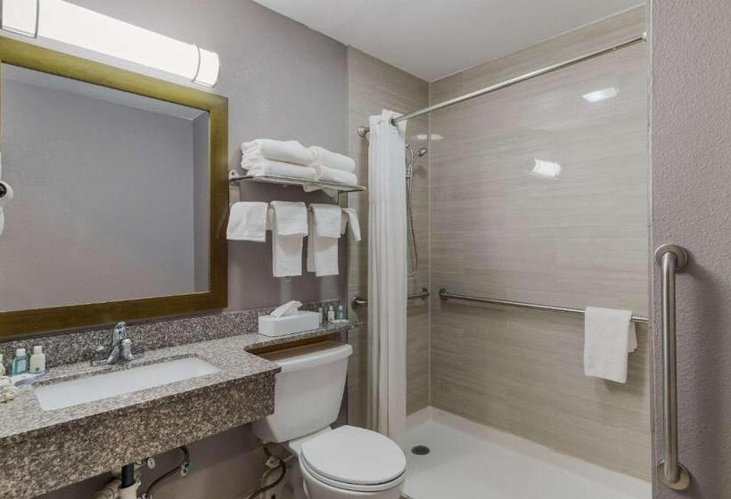 适合残疾人使用的标准间, Quality Inn  Denton