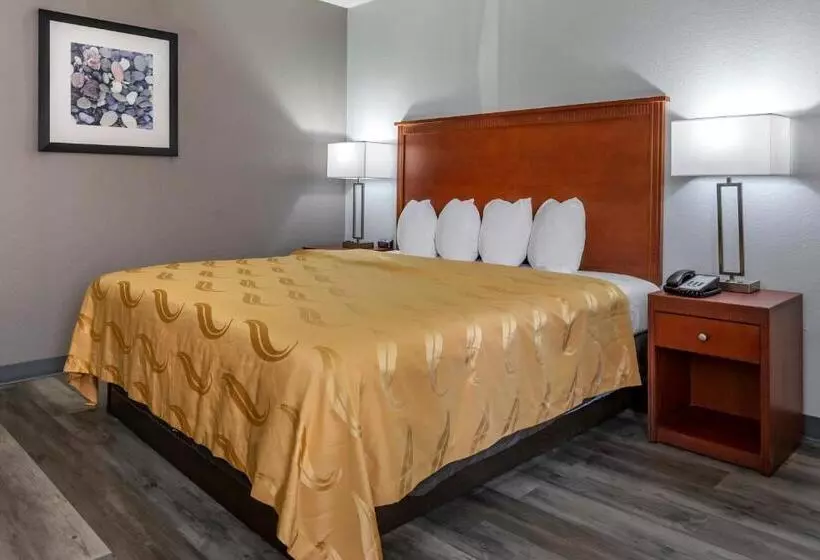 キングサイズベッドのスタンダードルーム, Quality Inn Near Fort Liberty