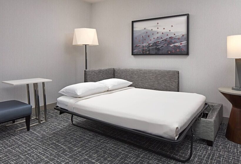 Люкс, San Mateo Marriott San Francisco Airport