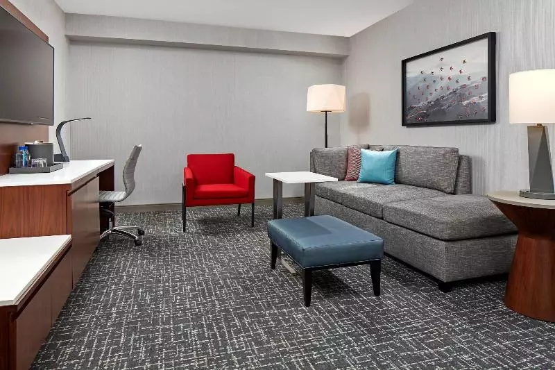 سوئیت با تخت بزرگ, San Mateo Marriott San Francisco Airport