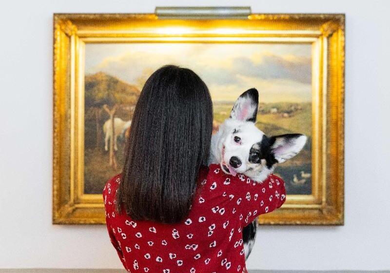 带大床的标准间, The Driskill