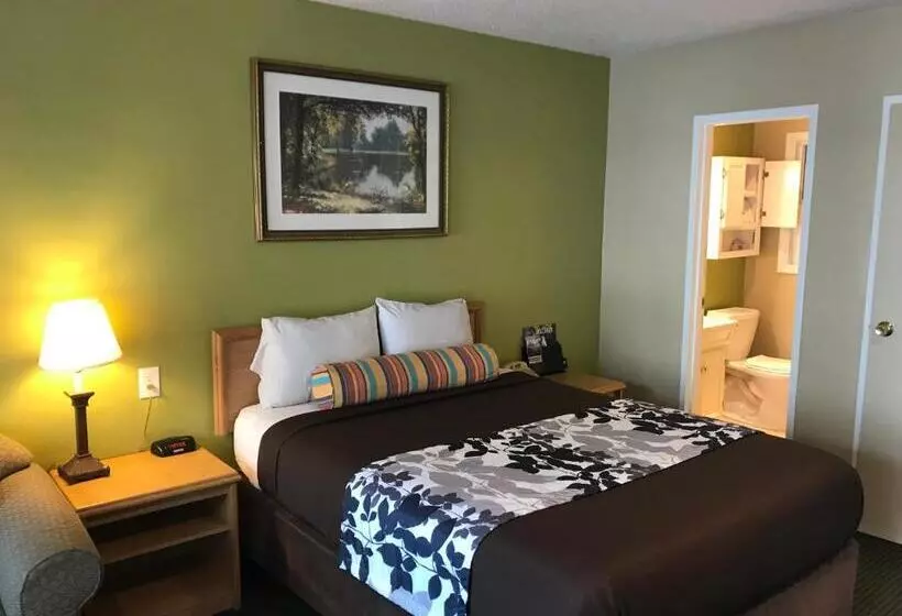 اتاق لوکس با تخت بزرگ, Travelers Inn Eugene University