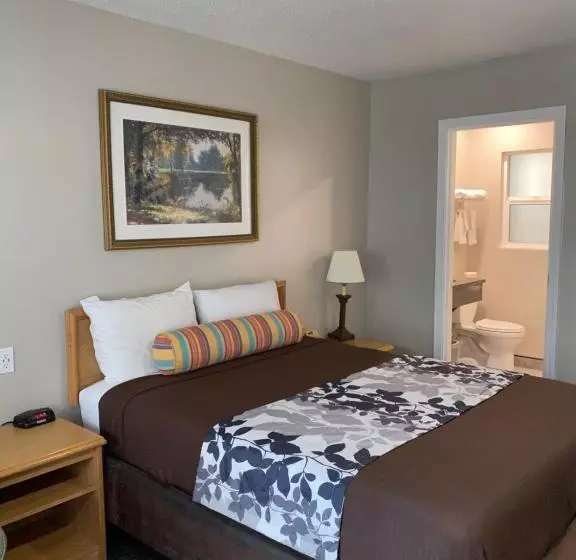 اتاق لوکس با تخت بزرگ, Travelers Inn Eugene University