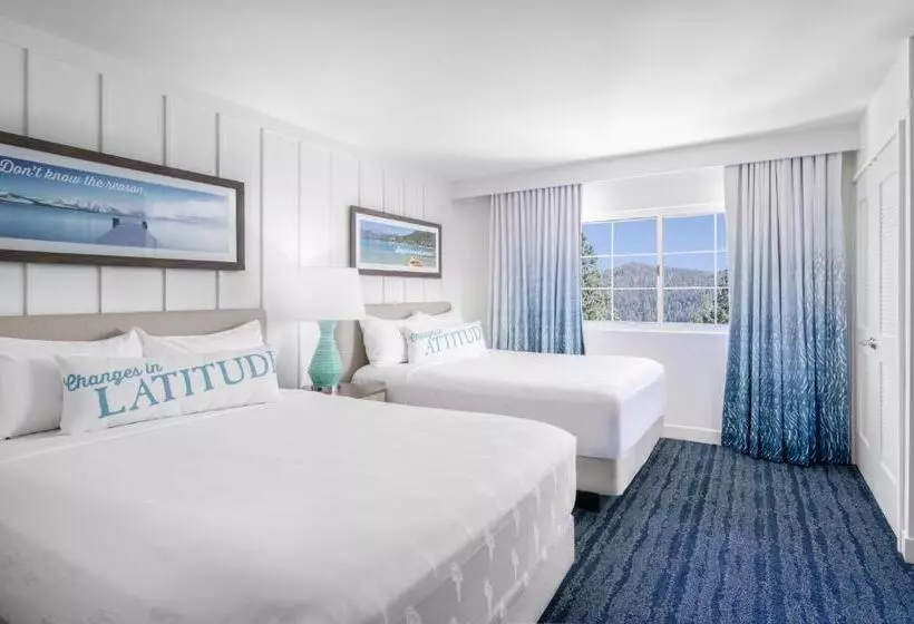 スタンダードスタジオ, Margaritaville Resort Lake Tahoe