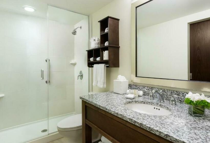 חדר סטנדרט עם מיטת קינג, 24 North Hotel Key West