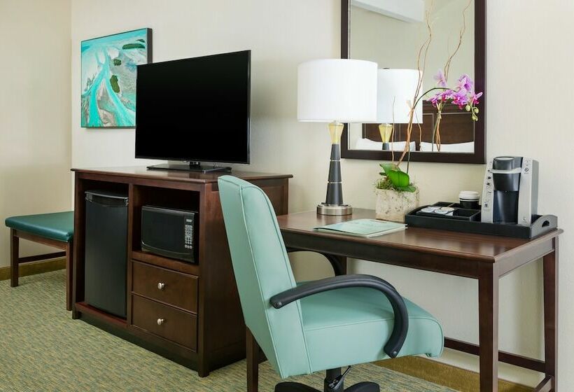 חדר סטנדרט עם מיטת קינג, 24 North Hotel Key West