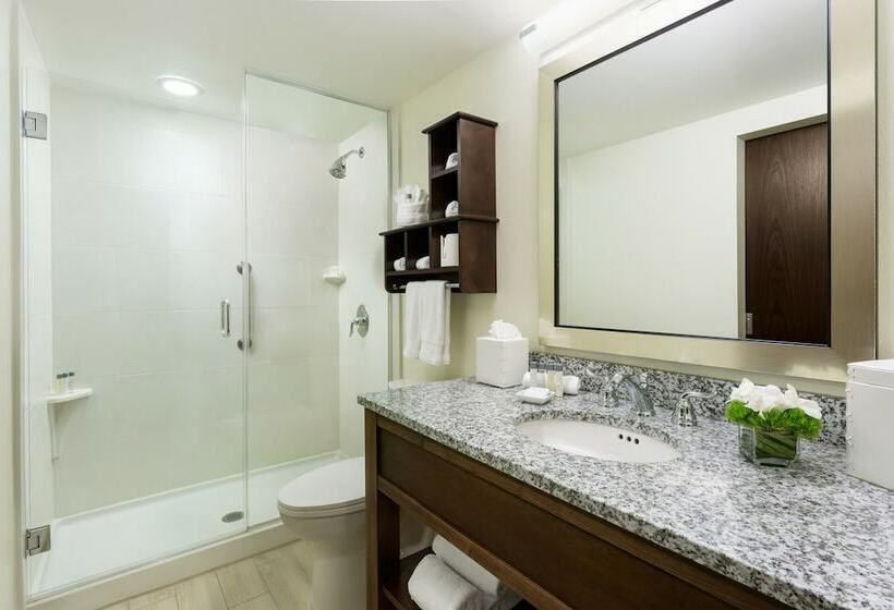带大床的标准间, 24 North Hotel Key West