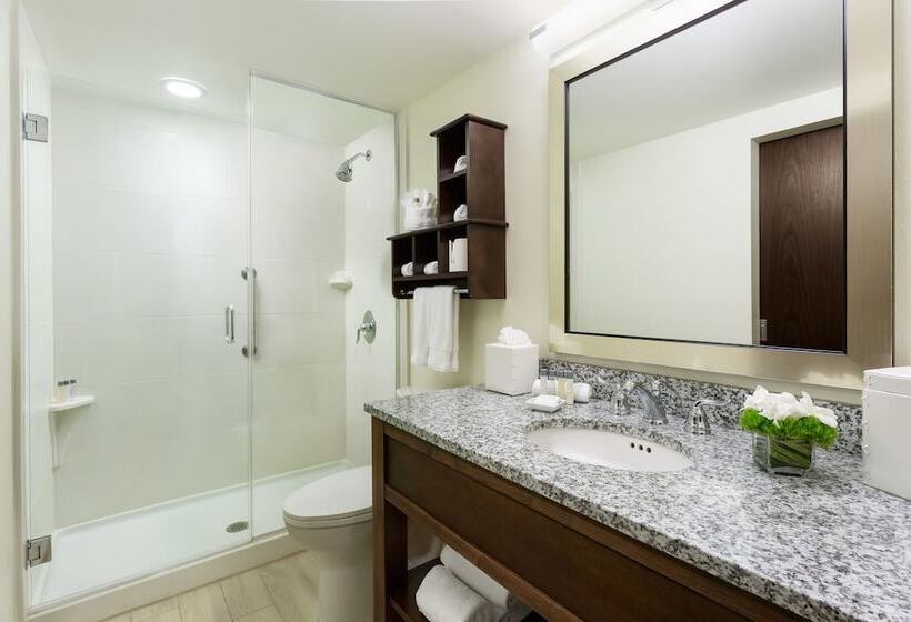 חדר סטנדרט עם מיטת קווין, 24 North Hotel Key West