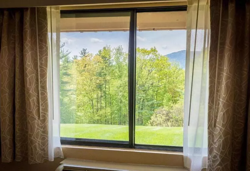 シングルデラックスルーム, Fox Ridge Resort