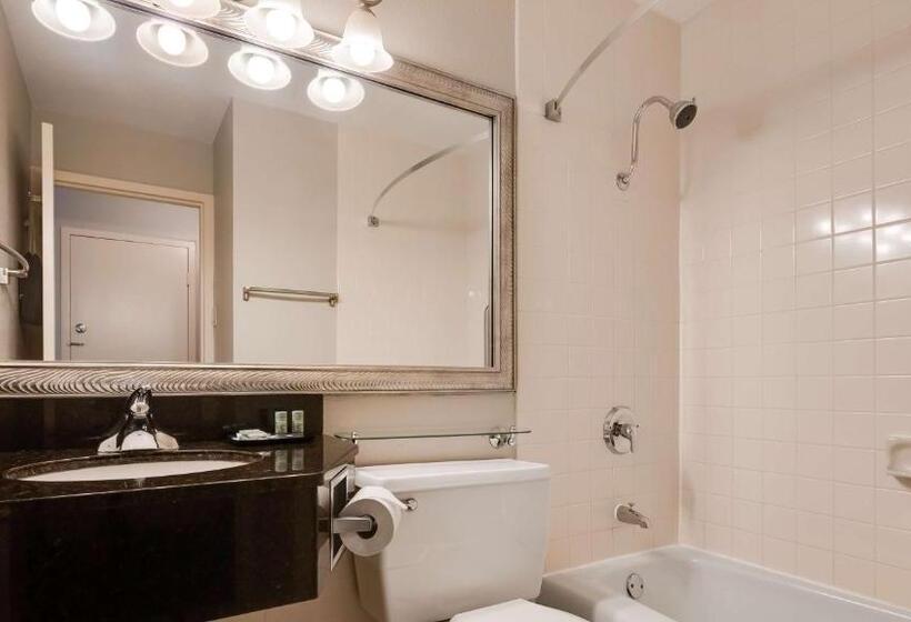 스탠다드 룸, Best Western Tomah