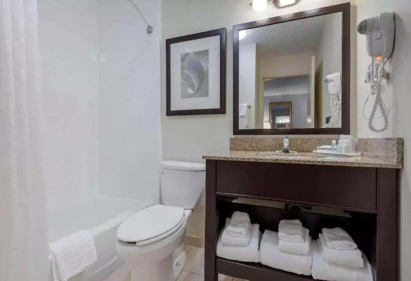 اتاق استاندارد با 2 تخت دوبل, Clarion Inn Elmira Horseheads