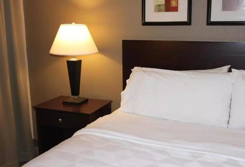 اتاق استاندارد با تخت بزرگ برای معلولان, Clarion Inn Elmira Horseheads