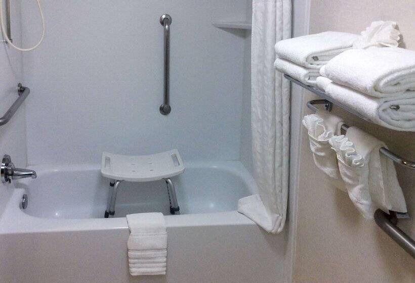 غرفة قياسية سرير كينج لذوى الإحتياجات الخاصة, Comfort Inn Anaheim Resort