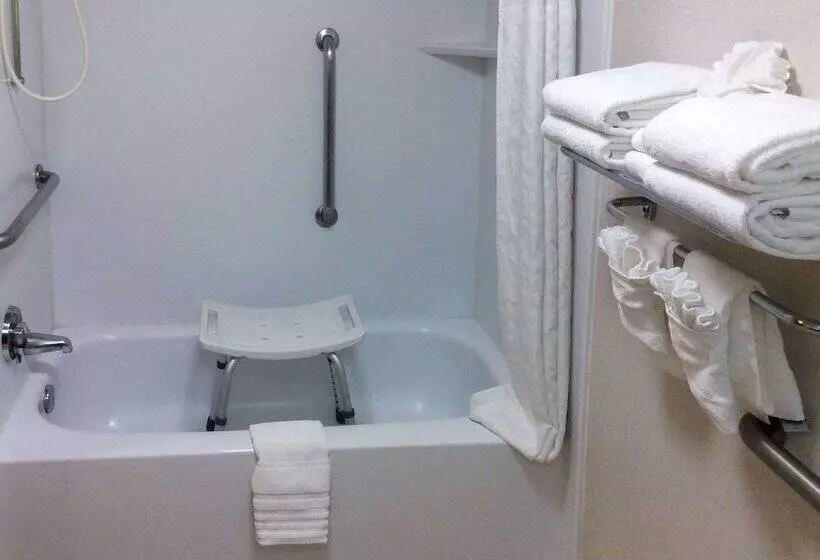 اتاق استاندارد با تخت بزرگ برای معلولان, Comfort Inn Anaheim Resort