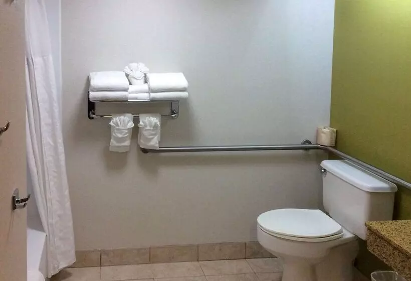 اتاق استاندارد با تخت بزرگ برای معلولان, Comfort Inn Anaheim Resort