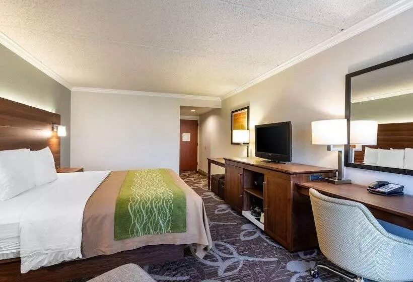 اتاق استاندارد با تخت بزرگ برای معلولان, Comfort Inn Anaheim Resort