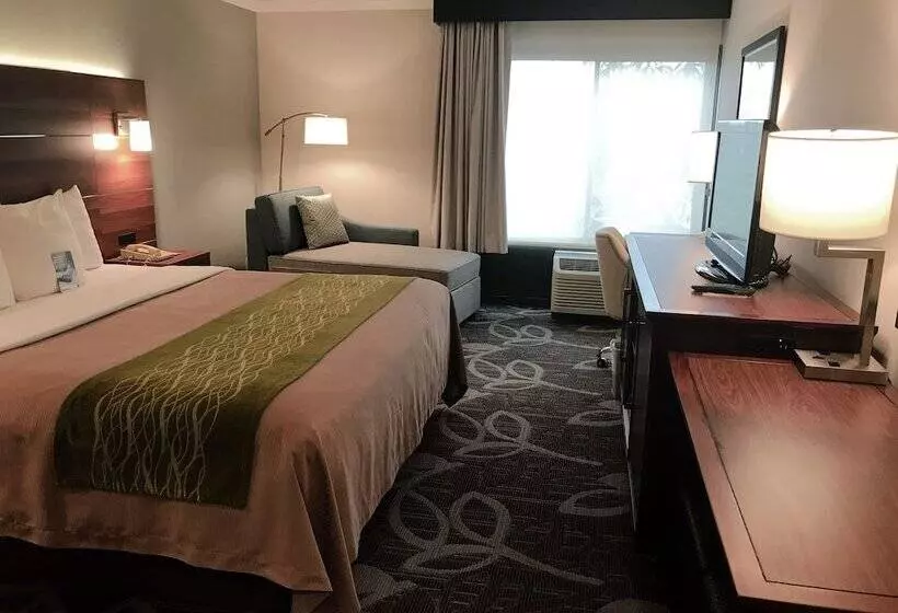اتاق استاندارد با تخت بزرگ برای معلولان, Comfort Inn Anaheim Resort