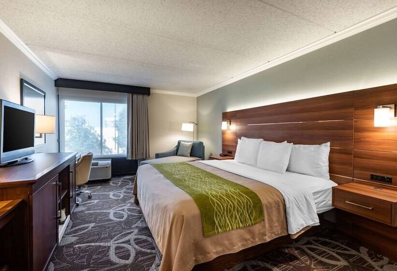 Standard-invahuone King-vuode, Comfort Inn Anaheim Resort