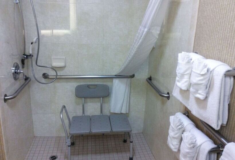 غرفة قياسية سرير كينج لذوى الإحتياجات الخاصة, Comfort Inn Anaheim Resort