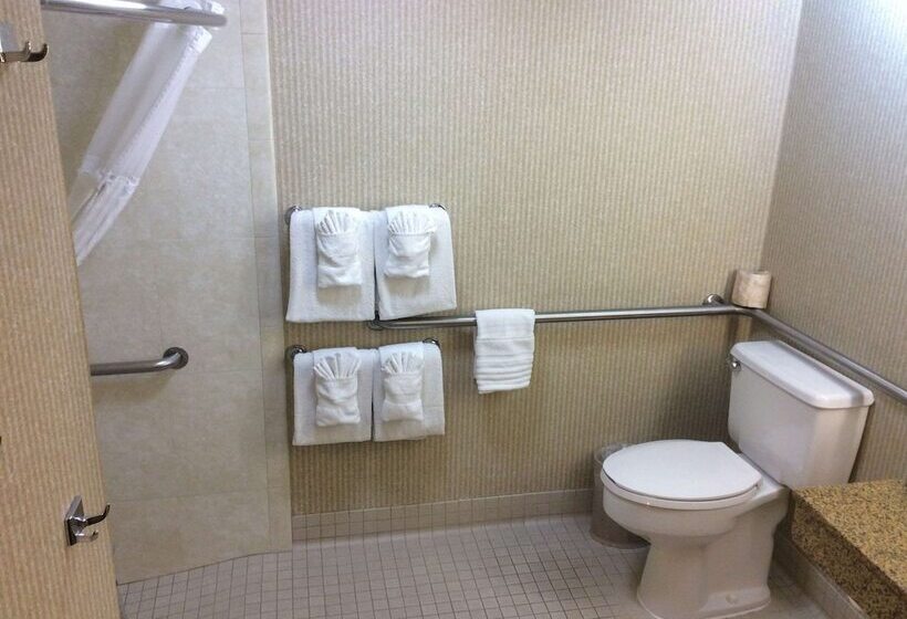 غرفة قياسية سرير كينج لذوى الإحتياجات الخاصة, Comfort Inn Anaheim Resort