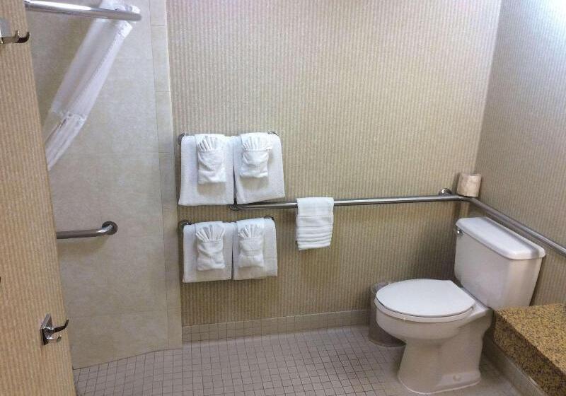 غرفة قياسية سرير كينج, Comfort Inn Anaheim Resort