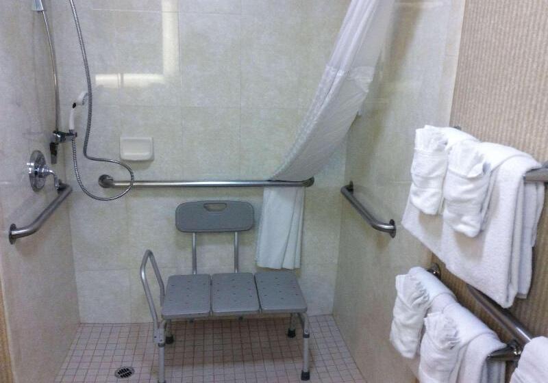 غرفة قياسية سرير كينج, Comfort Inn Anaheim Resort