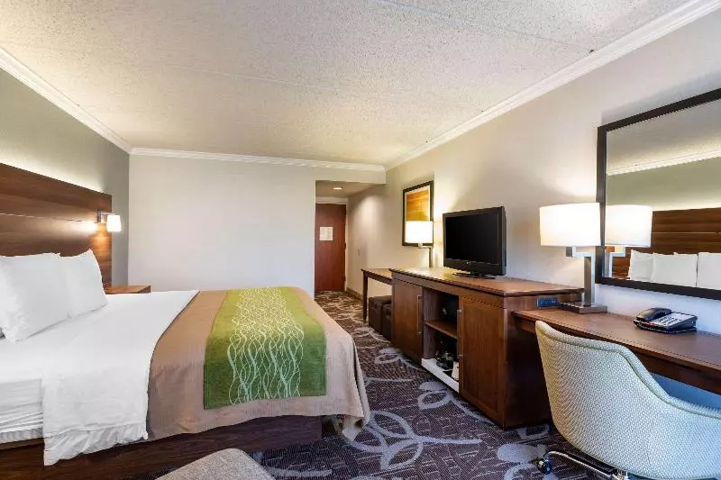 اتاق استاندارد با تخت بزرگ, Comfort Inn Anaheim Resort