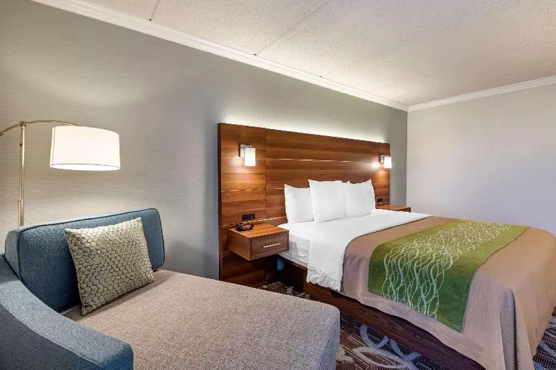 اتاق استاندارد با تخت بزرگ, Comfort Inn Anaheim Resort