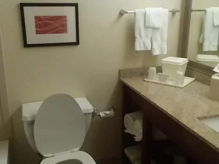 غرفه قياسيه سريرين مزدوجين, Comfort Inn