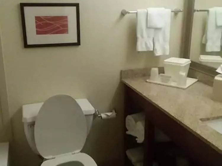 ２ダブルベッドのスタンダードルーム, Comfort Inn