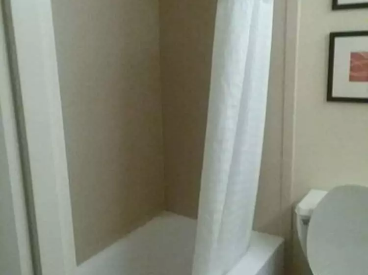 ２ダブルベッドのスタンダードルーム, Comfort Inn
