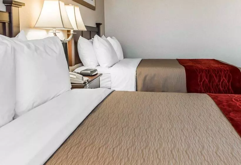 ２ダブルベッドのスタンダードルーム, Comfort Inn