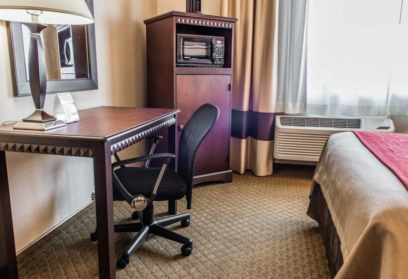 غرفه قياسيه سريرين مزدوجين, Comfort Inn