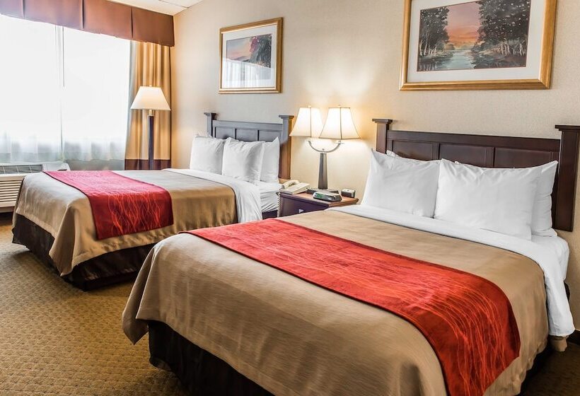 غرفه قياسيه سريرين مزدوجين, Comfort Inn