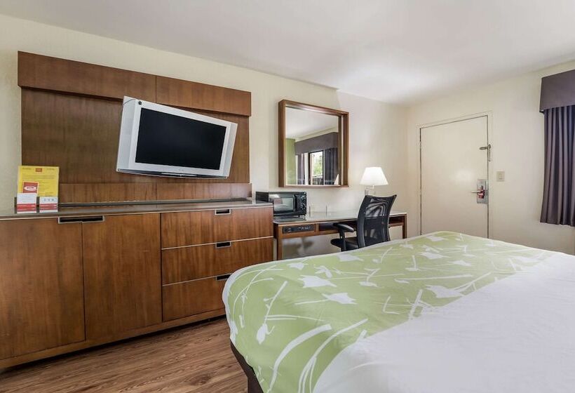 身障者適用ダブルベッド付きスタンダードルーム, Econo Lodge Atlanta Airport East