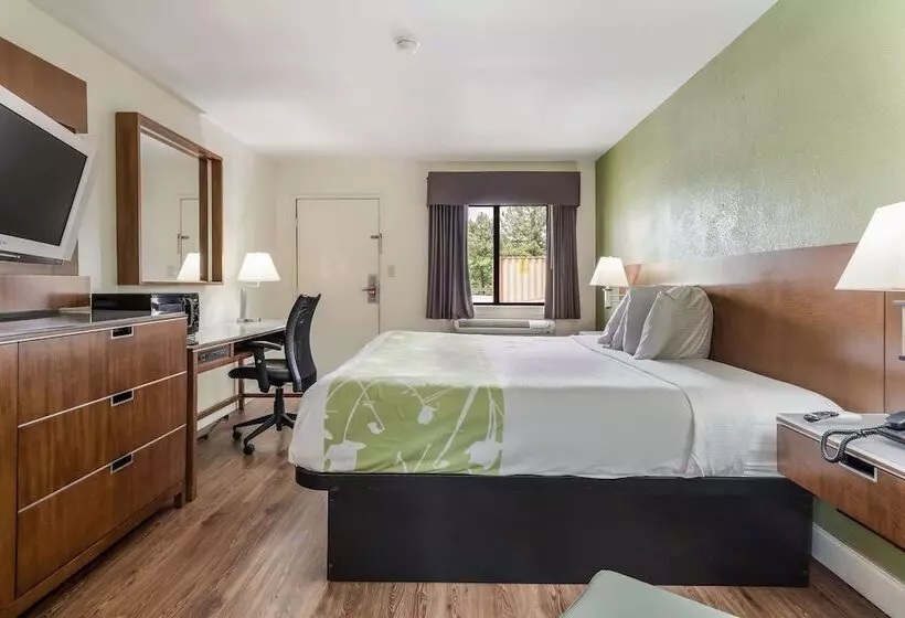 اتاق استاندارد با تخت دوبل برای معلولان, Econo Lodge Atlanta Airport East