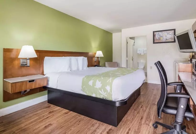 اتاق استاندارد با تخت دوبل برای معلولان, Econo Lodge Atlanta Airport East