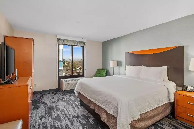 اتاق استاندارد با تخت بزرگ, Fairfield Inn & Suites Anaheim North Buena Park