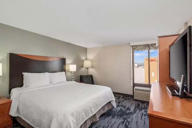 اتاق استاندارد با تخت بزرگ, Fairfield Inn & Suites Anaheim North Buena Park
