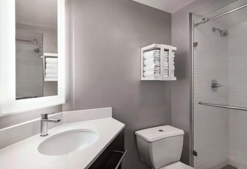 اتاق استاندارد با 2 تخت دوبل, Hampton Inn Chicagoo Hare International Airport