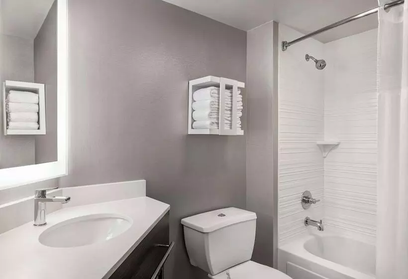 اتاق استاندارد با 2 تخت دوبل, Hampton Inn Chicagoo Hare International Airport