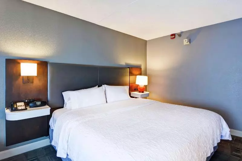 キングサイズベッドのスタンダードルーム, Hampton Inn Cincinnati Airport South