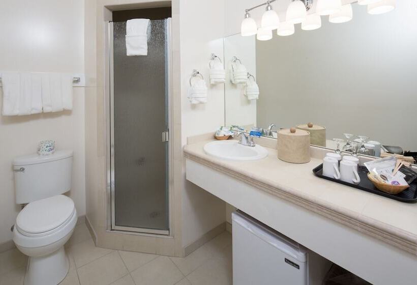 غرفة قياسية سرير مزدوج, Hofsas House