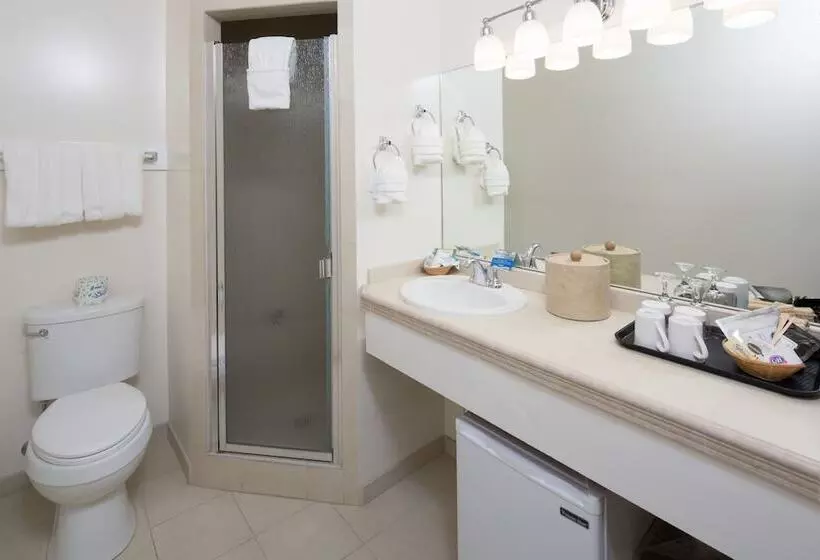 اتاق استاندارد با تخت دوبل, Hofsas House