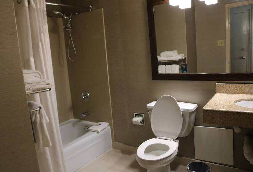 اتاق استاندارد, Comfort Inn & Suites Danbury Bethel