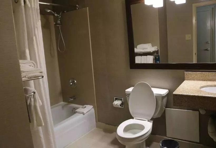 スタンダードルーム, Comfort Inn & Suites Danbury Bethel