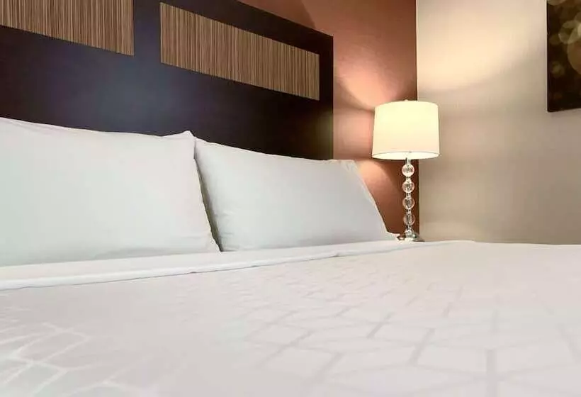 スタンダードルーム, Comfort Inn & Suites Danbury Bethel