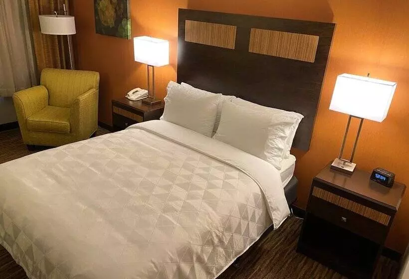 スタンダードルーム, Comfort Inn & Suites Danbury Bethel
